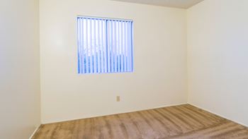 Tanglewood apartments with nice lighting and carpet flooring